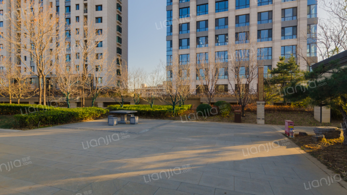 京投银泰琨御府外景图