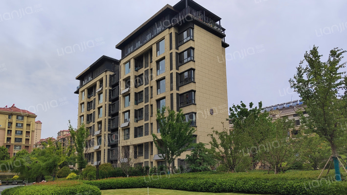 天一仁和·宸璟锦里外景图