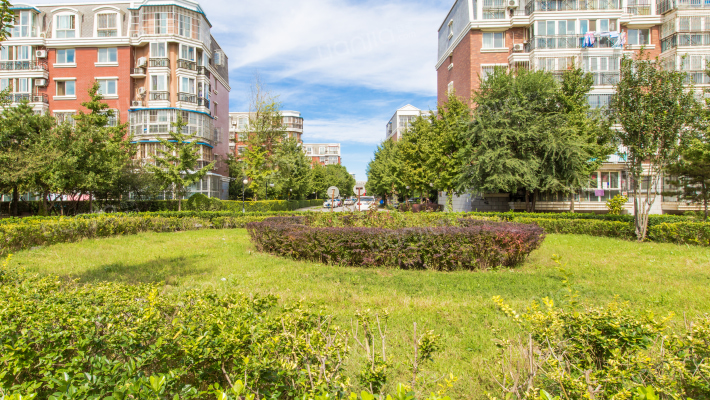 北京朝阳新城三区房价怎么样?