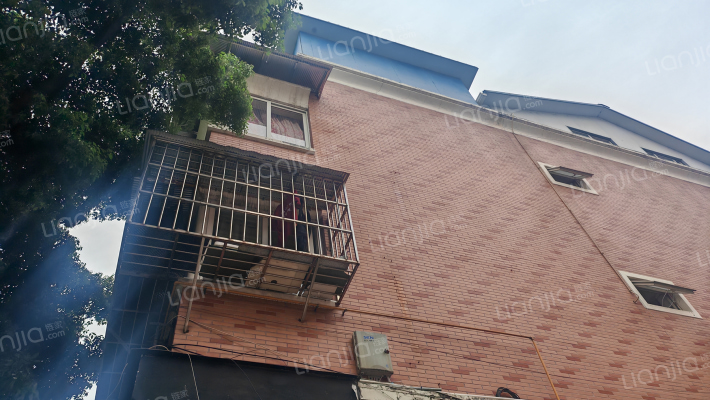 金明街39号外景图