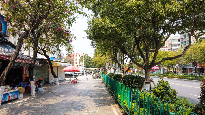 陆丰嘉园二期外景图