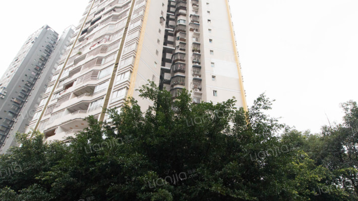 金和名都外景图