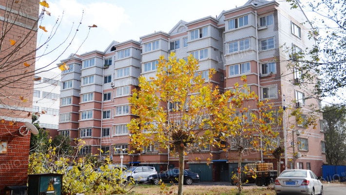 鑫兴佳苑外景图