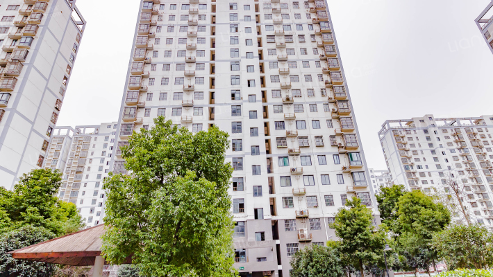 滨湖康园南区外景图