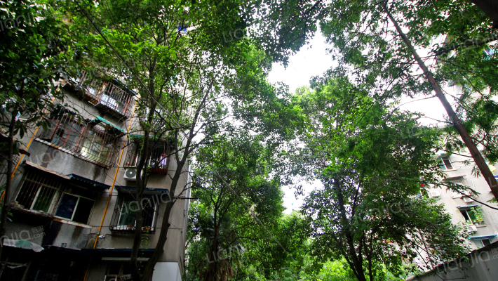 百花东街25号外景图