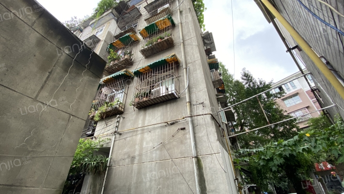 江安中一街12号外景图