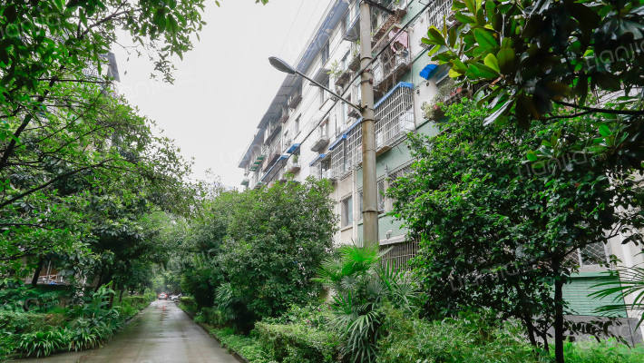 交大北园外景图