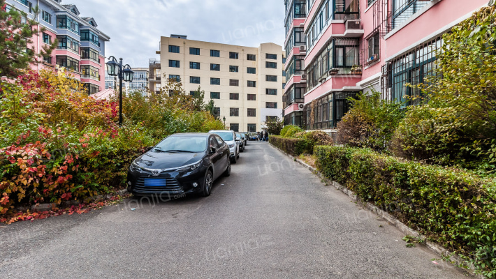 金色路园外景图