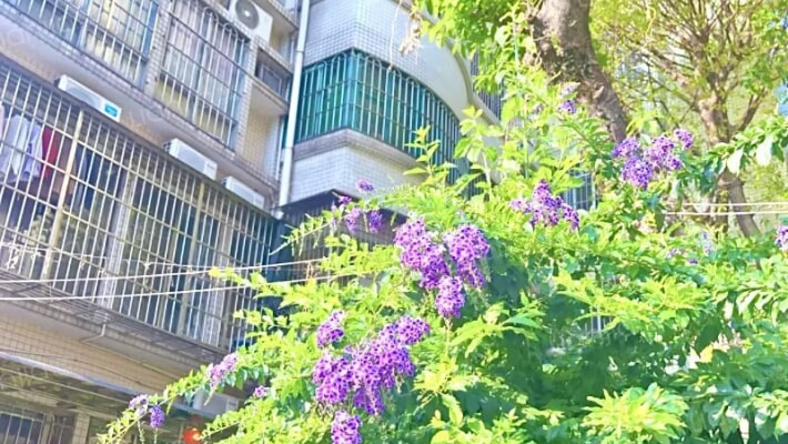 源溪石路边3号大院外景图