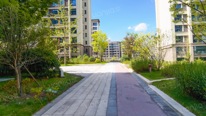 浩创半山溪谷外景图