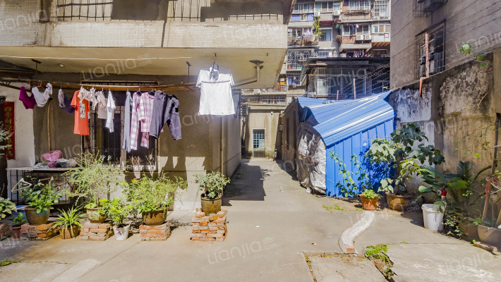 紫阳东路8号外景图