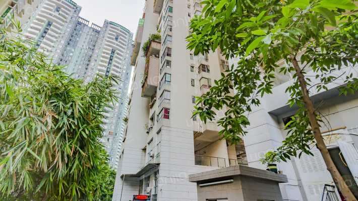 大学印象外景图