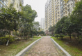 统建同安家园户型图实景图