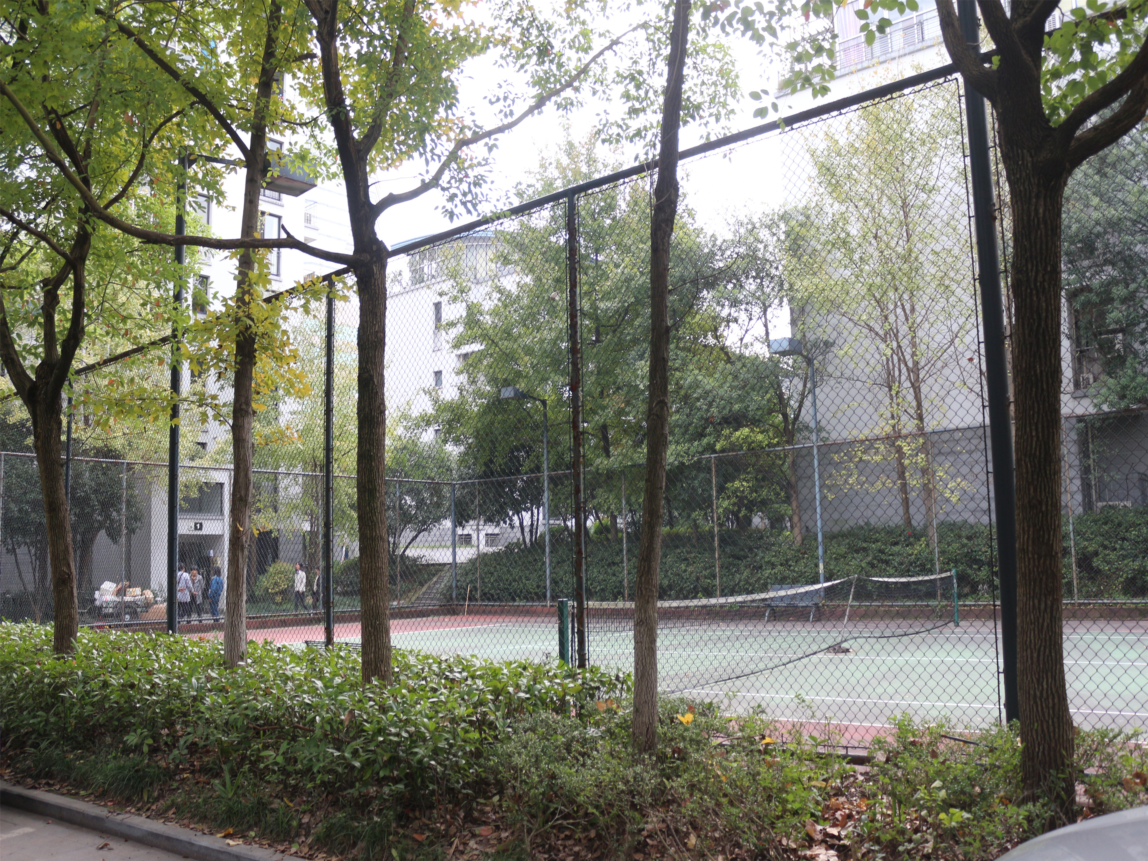 江滨花园小区实景 24