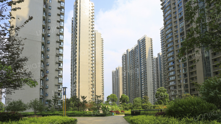 世纪城映江苑外景图