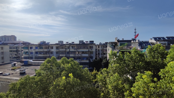 乐苑小区外景图