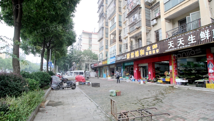 金麓大厦外景图