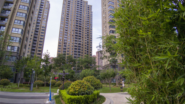 滨湖阳光里外景图