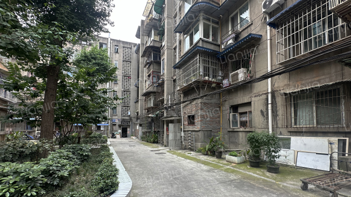 文庙前街75号外景图