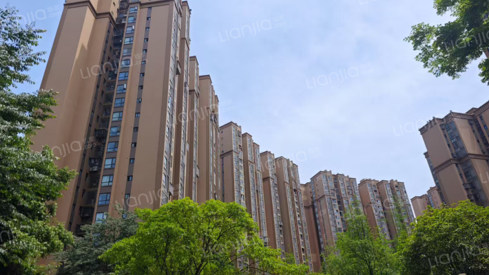 万圣家园D区外景图