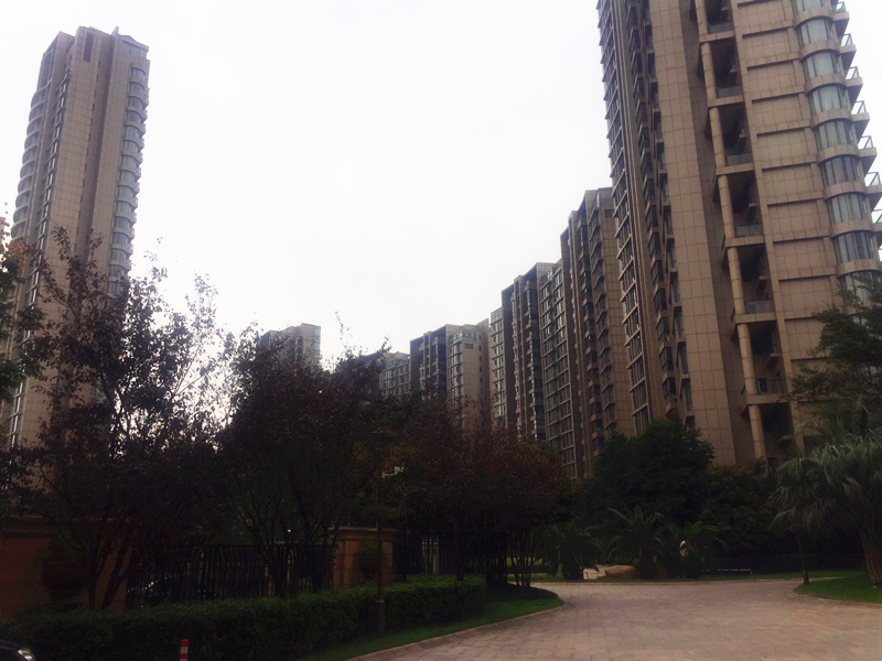 The Dreamland compound photo 8