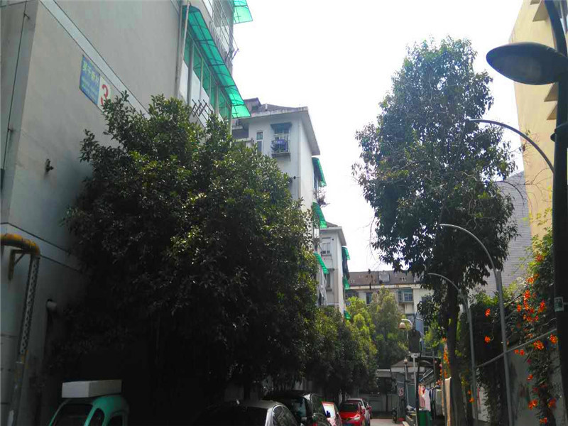 Moganxincun  compound photo 26