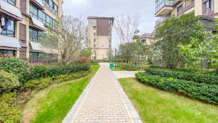 文一名门森林语外景图