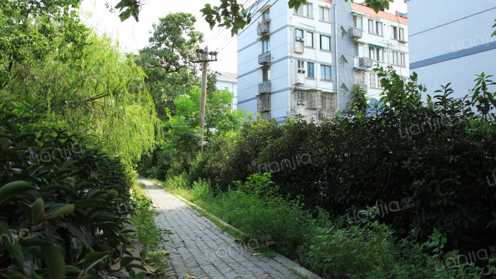 长虹路6号外景图