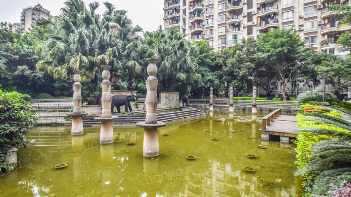 中央美苑外景图