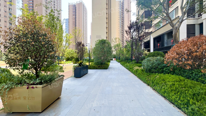 龙湖星河紫云台外景图