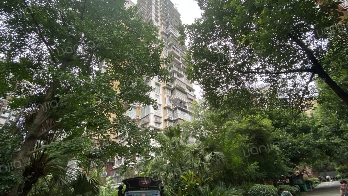 巴黎春天外景图