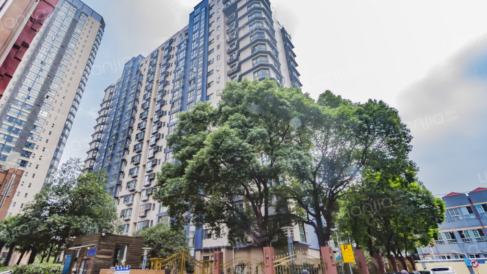 君临国际外景图