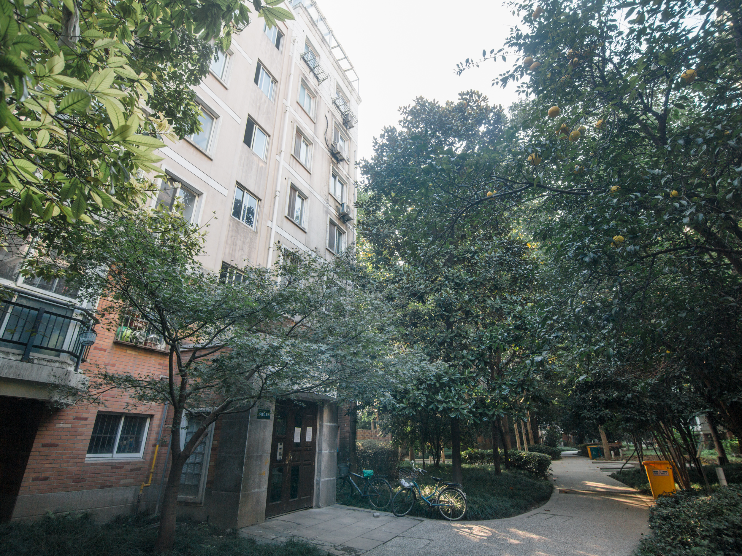 星洲花园小区实景 12