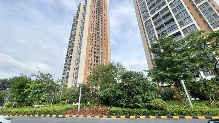 时代紫林外景图