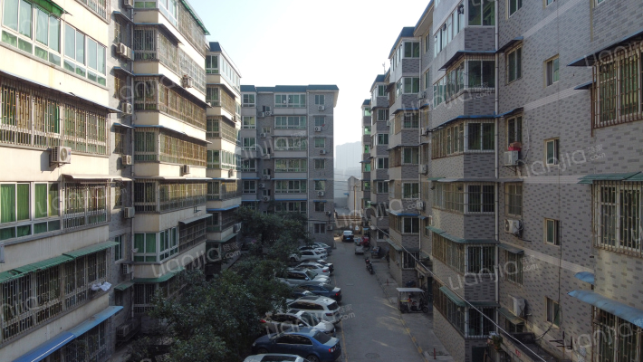 沁园花都外景图