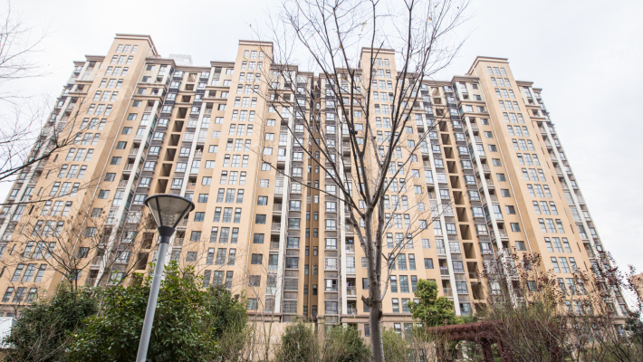 心泊桃花苑外景图