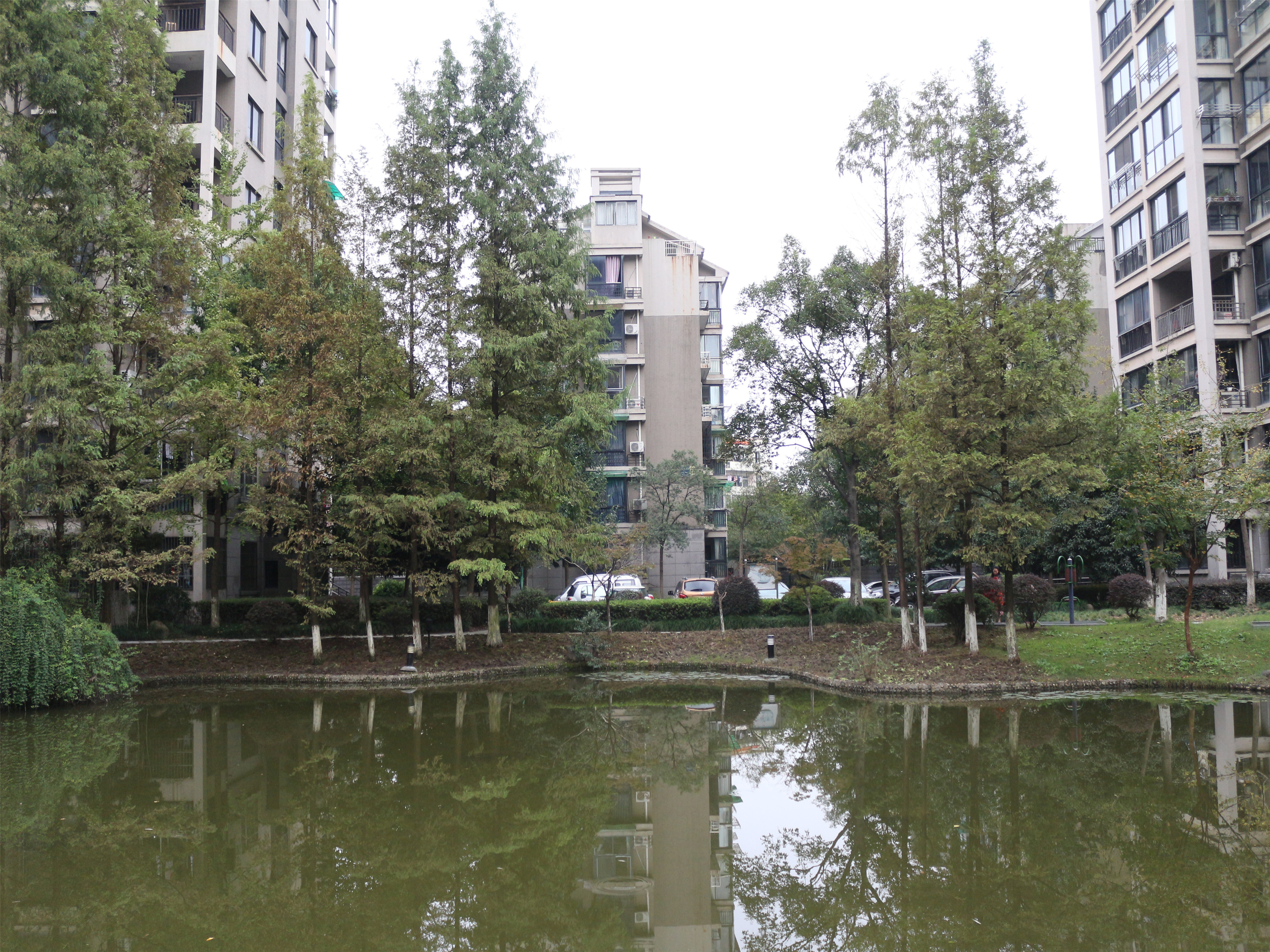 Linjiang Garden compound photo 23