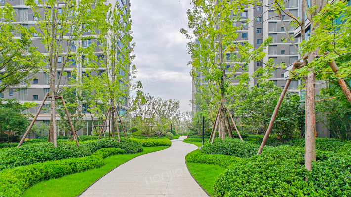 招商雍澜湾外景图