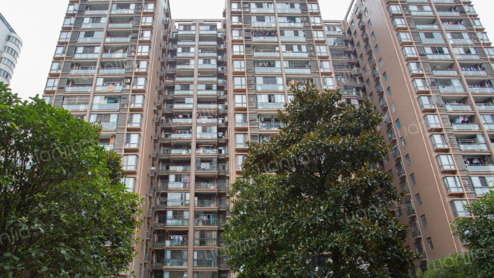 友谊国际沙湖苑外景图