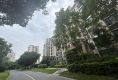 星湖名郡尚林苑户型图实景图