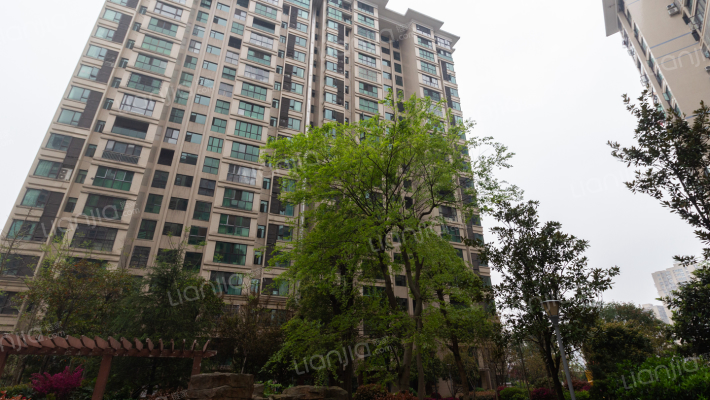 滨江一号外景图