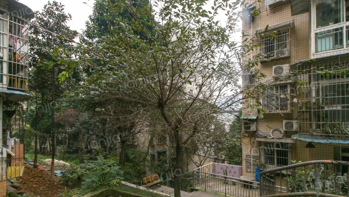 南山静园小区外景图