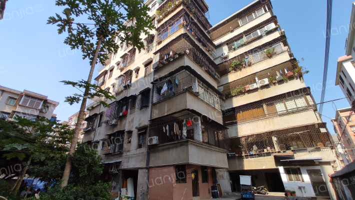 松涛街9号外景图