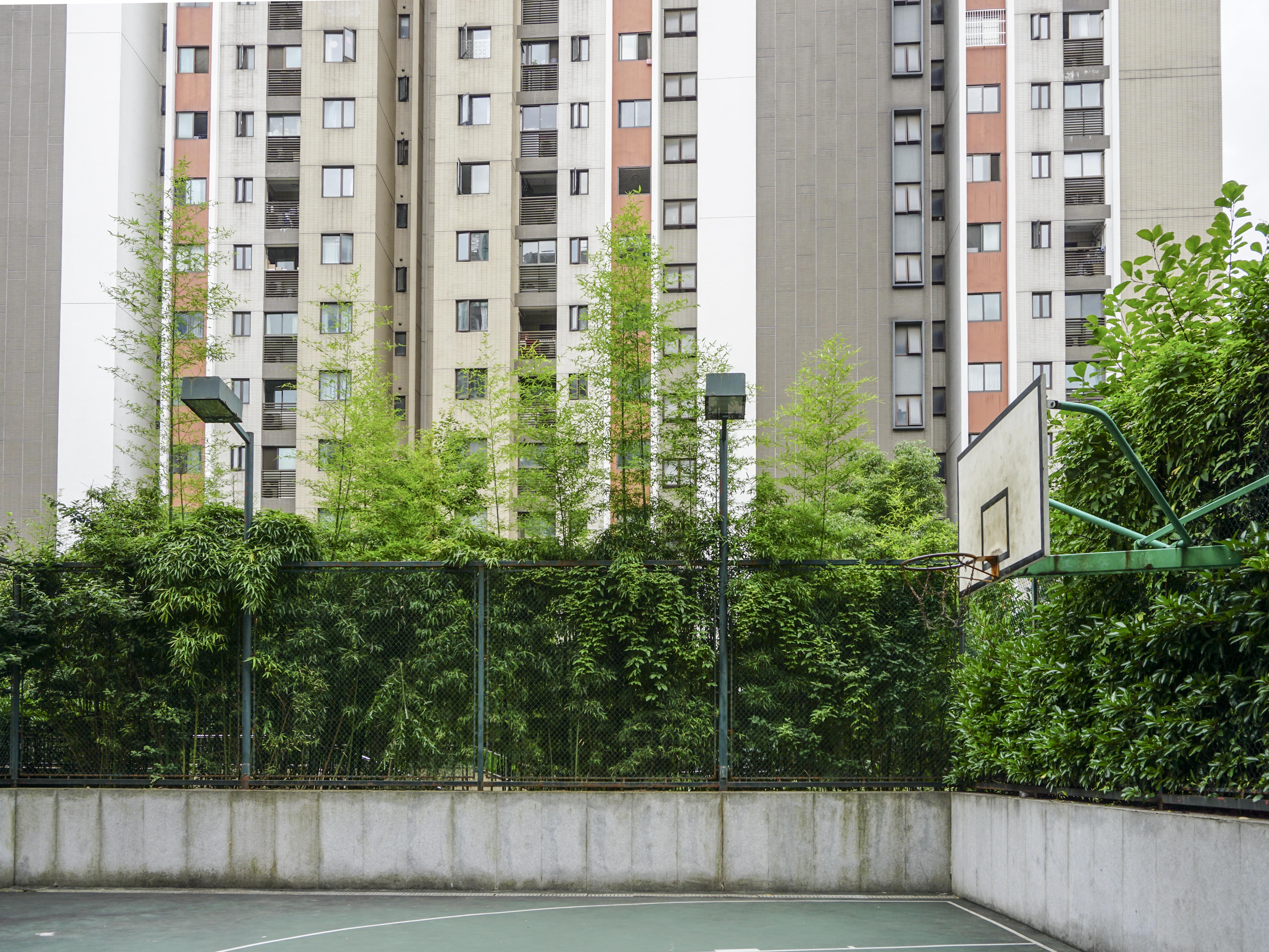 凯德视界小区实景 12