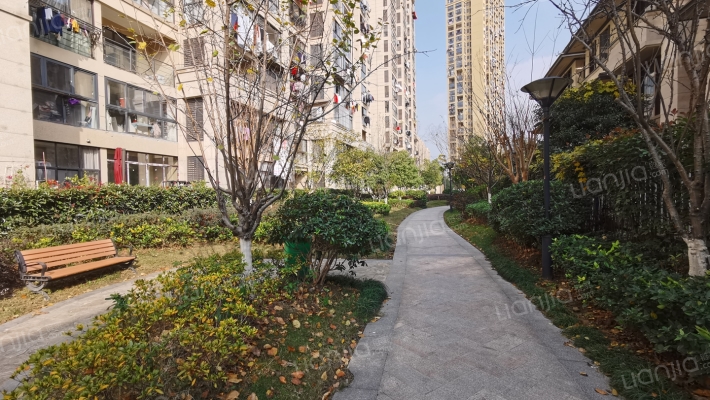 莱茵知己外景图