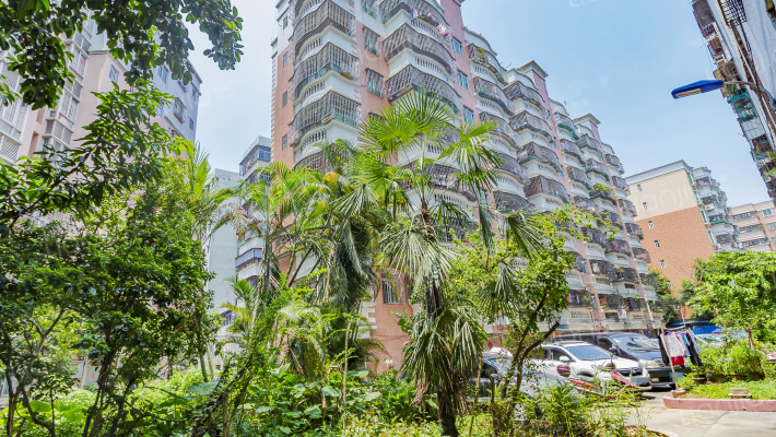 星河花园小区外景图