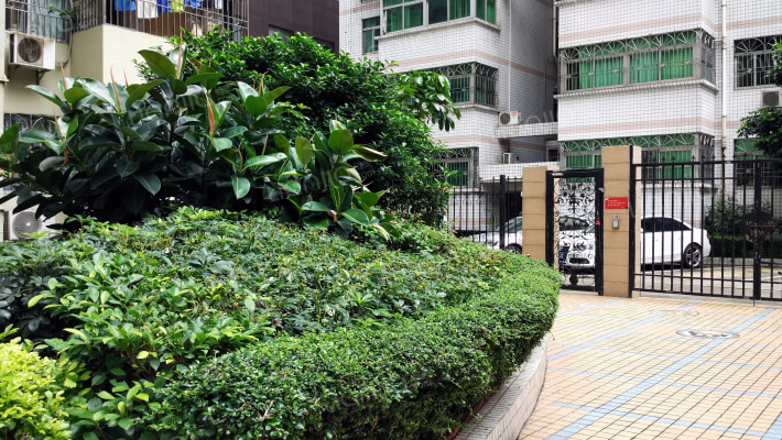 景洲大厦外景图