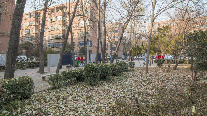 二十七所家属院外景图