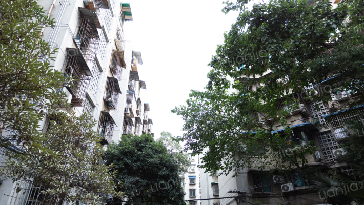 浣花北路26号外景图