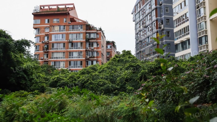 上河新城外景图